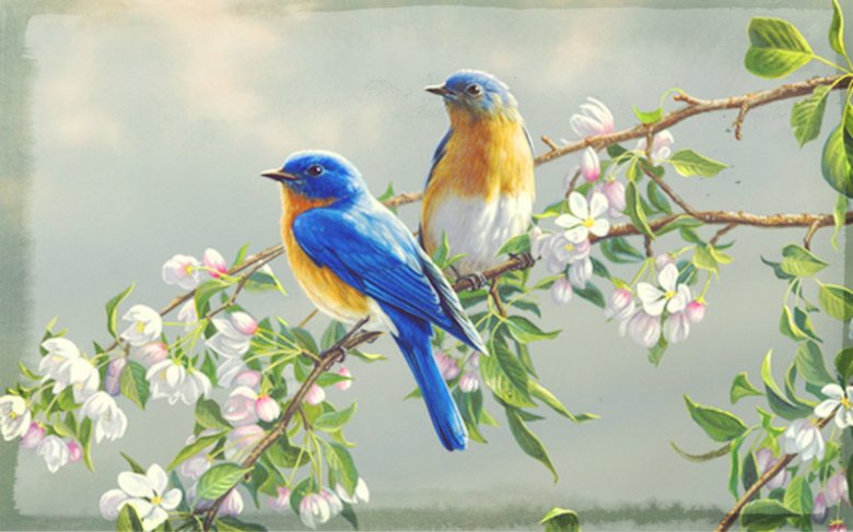 flowers-and-birds-hd-wallpapers